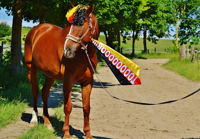 戴维：很高兴能为球队带来三分，斯帕莱蒂是位要求很高的教练