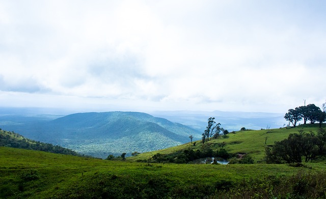 新疆95-96深圳遭3坏消息！外援配置糟糕，外线防守拉胯，欠缺领袖